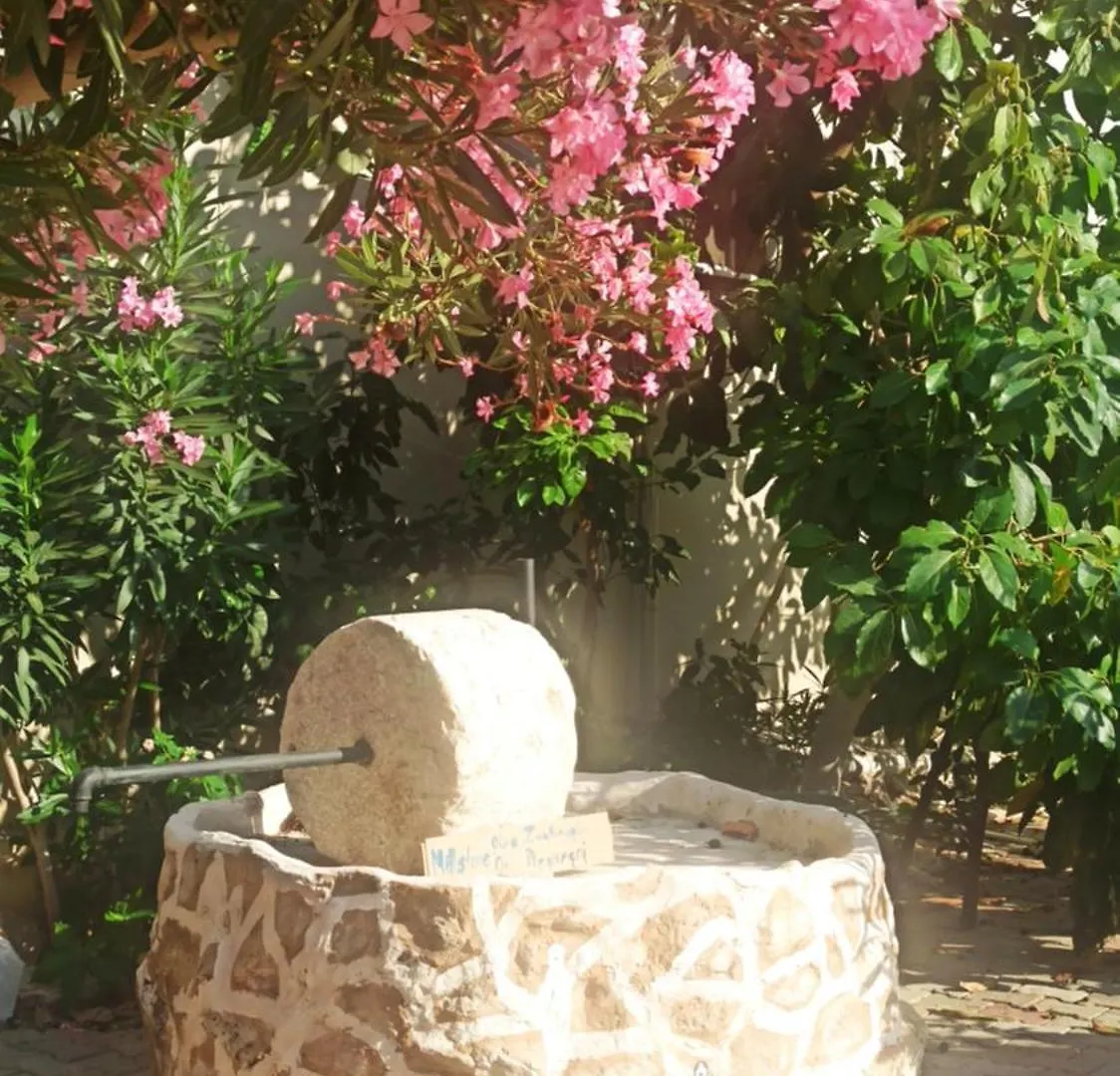 Cc'S Butik Hotel Oludeniz Guest house