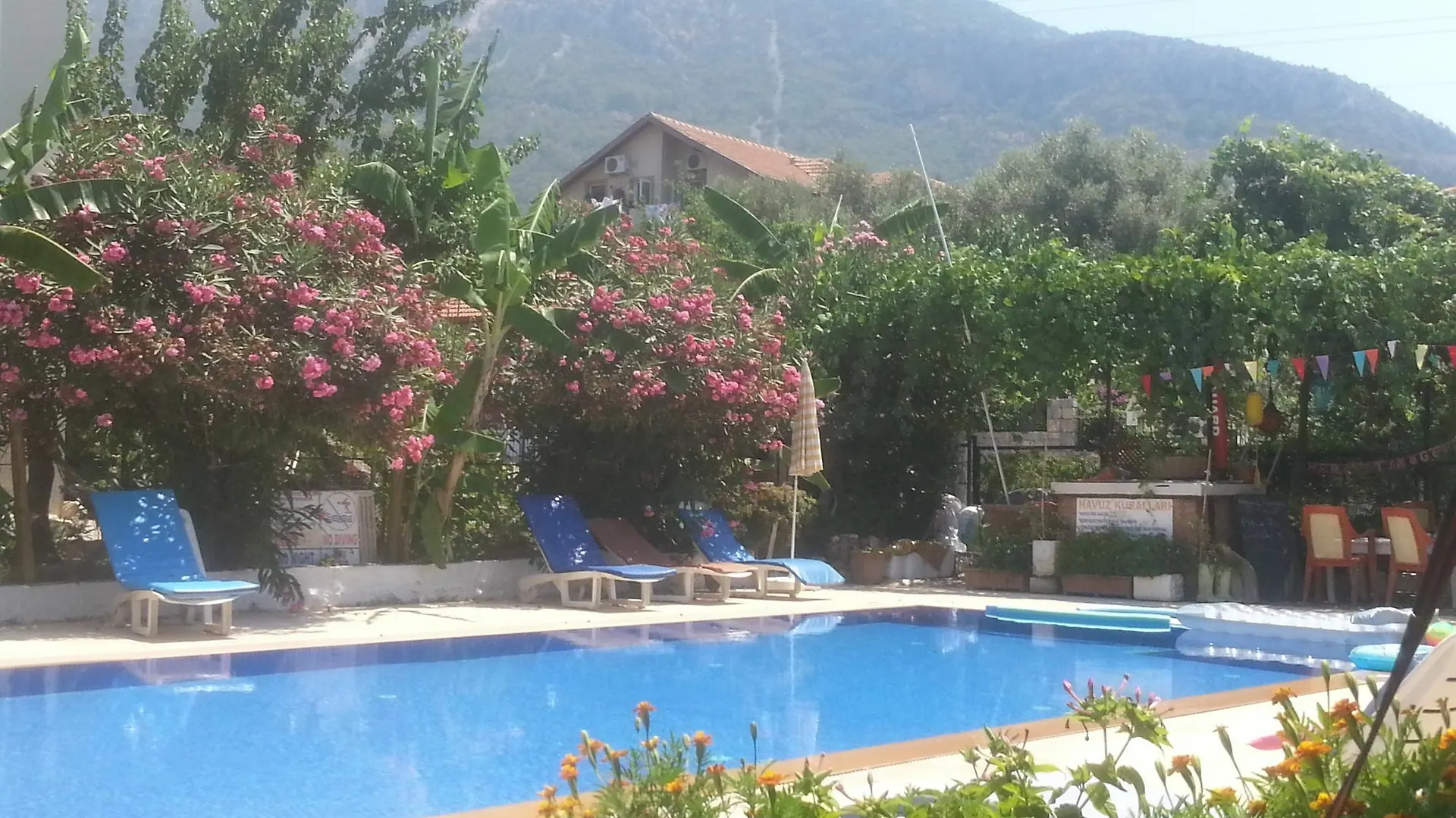 Cc'S Butik Hotel Oludeniz Guest house